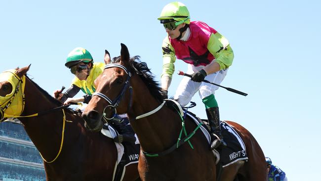 Knight’s Choice has been trained for 1600m/2000m targets. Picture: Robert Cianflone/Getty Images