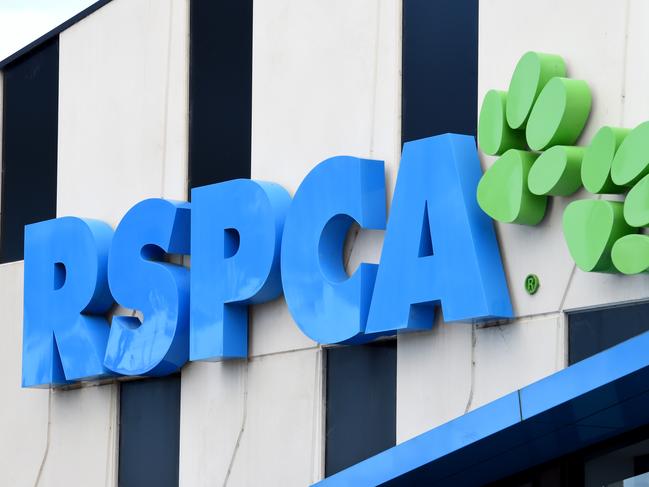 The RSPCA had to rescue four dogs and cats allegedly at risk of starving to death, a court has heard.