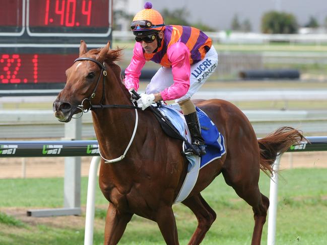 Too Good To Refuse strolls home for Robbie Fradd at Doomben on September 19. Picture: Grant Peters, Trackside Photography