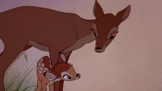 Is there life-changing news in store for Bambi? Picture: Supplied