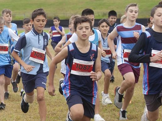 Action from the Sydney Catholic Schools Cross Country Championships.