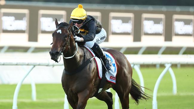 Classy mare Wee Nessy will have her first crack at Group 1 company in Saturday’s Doomben 10,000 in Brisbane. Picture: Getty Images.