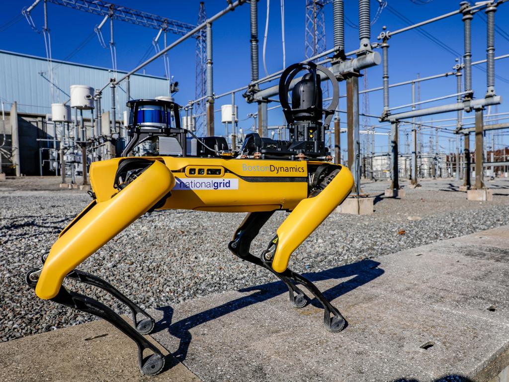 IBM has been working with Boston Dynamics on their robot dog Spot, using artificial intelligence to make it useful for a range of tasks in the energy sector. Picture: IBM