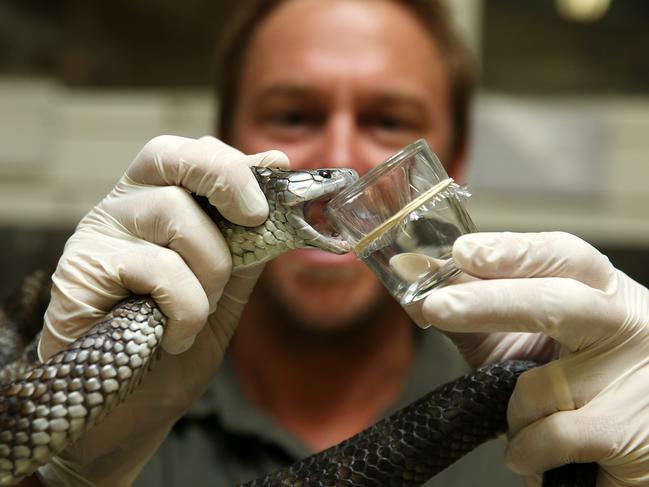 Faulkner was better known for his conservation efforts with the Australian Reptile Park and Aussie Ark. Picture: Tim Hunter.