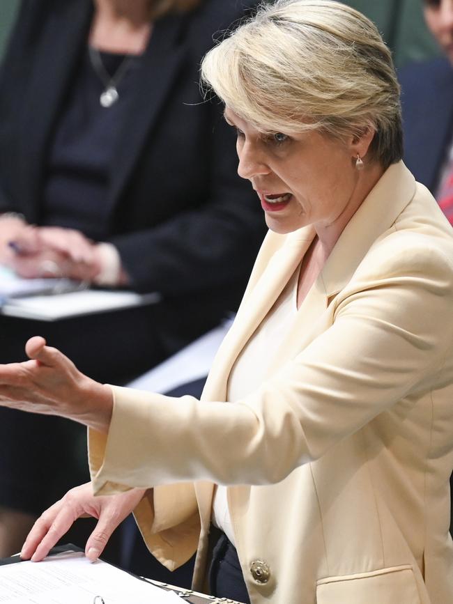 Environment Minister Tanya Plibersek. Picture: Martin Ollman