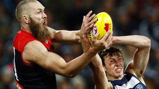 Max Gawn of the Demons and Jack Henry of the Cats contest the ball during their Round 18 clash. Picture: Daniel Pockett/AFL Media/Getty Images