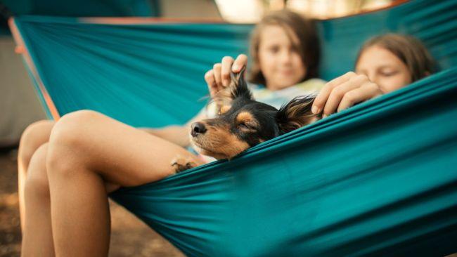 Kids and dogs are now getting an extra charge at some places. Image: iStock