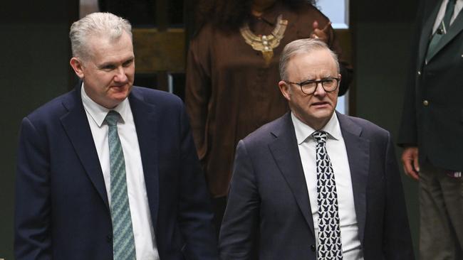 Home Affairs Minister Tony Burke and Anthony Albanese in parliament on Wednesday. Picture: NewsWire / Martin Ollman