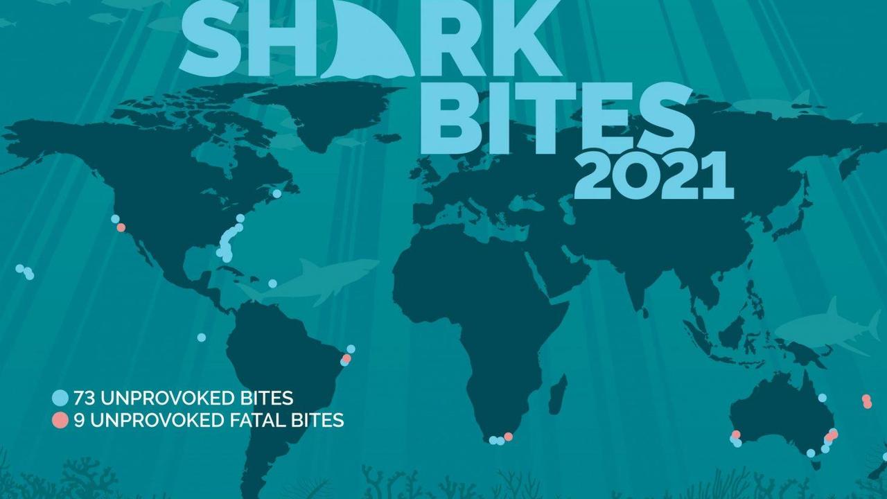 Shark attacks Australia: Unprovoked incidents on the rise after three
