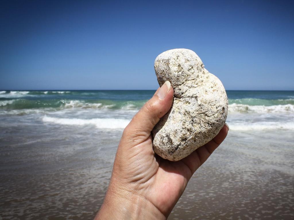 ambergris is a waxy substance made in the digestive system of sperm whales. Picture: File photo from www.ambergris.co.nz