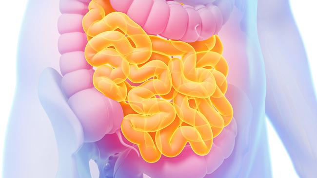 The key to good gut health is having a diverse and rich population of microbes thriving in our intestines. Picture: Getty Images