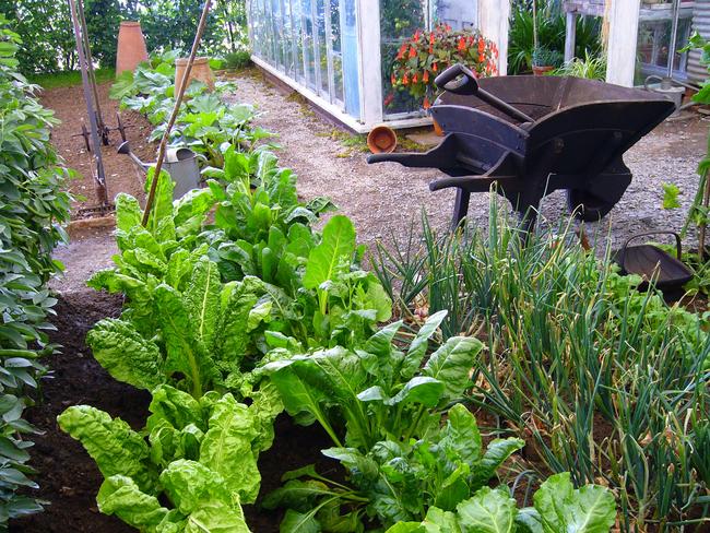 It’s a great time of the year to create a home garden.