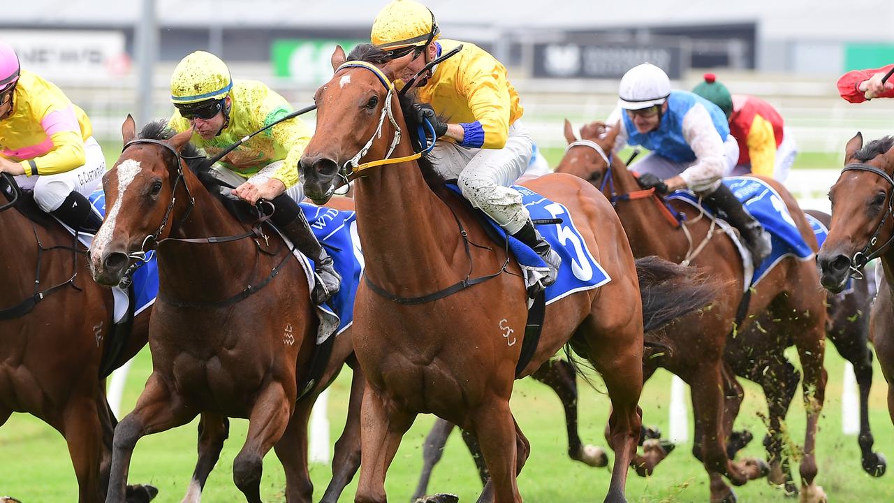 QRIC Magic Millions   — Australia's leading news site