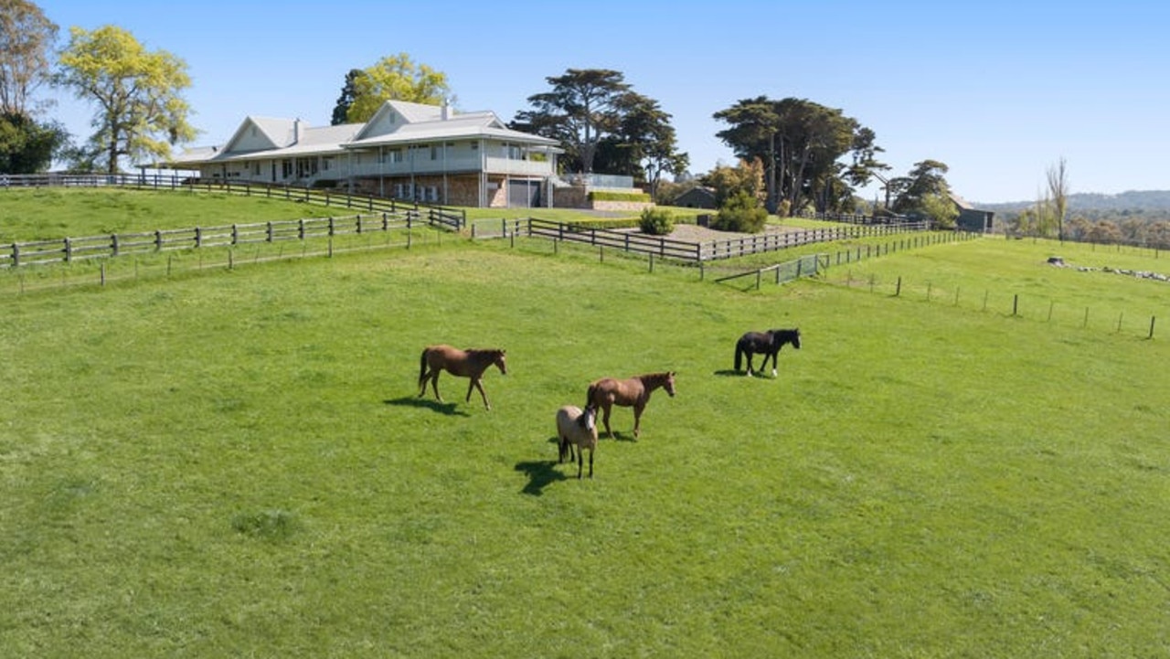 Four ponies and 80 cows currently call the farm home.