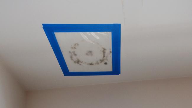 A mould spot on the ceiling of one apartment. Picture: Nicki Connolly/news.com.au