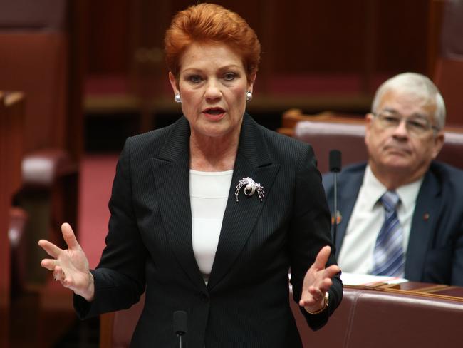 Senator Pauline Hanson has long called for a crackdown on Aboriginal welfare. Picture: Gary Ramage