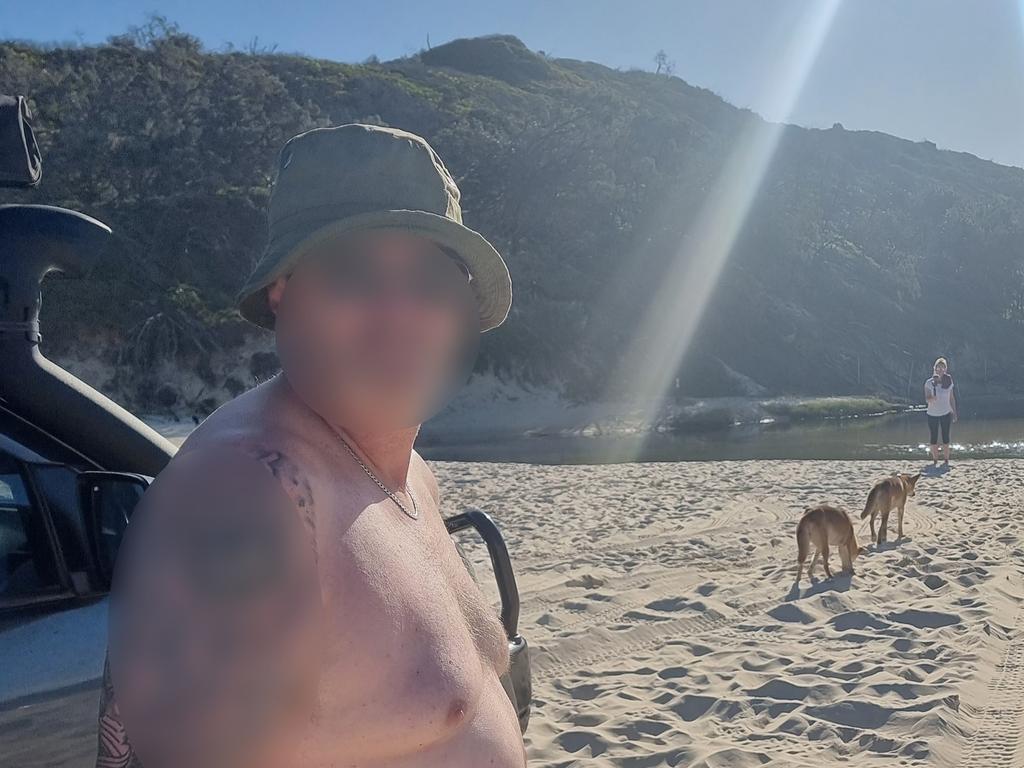 Visitors getting close to take a photo of a dingo pack