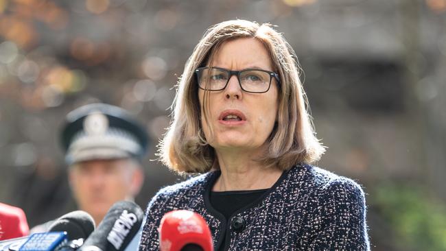 NSW Chief Health Officer Kerry Chant has been speaking with the authority of a premier. Picture: AAP Image/James Gourley