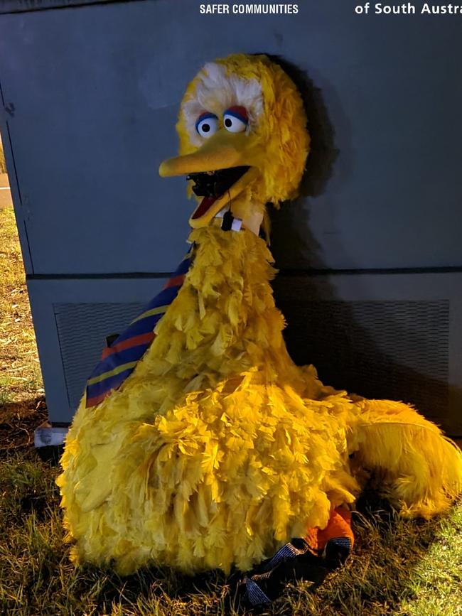 Big Bird costume returned to the Bonython Park circus site. Picture: SA Police