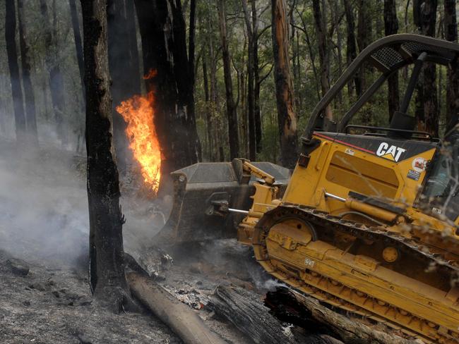 A bulldozer knocks over a burning tree at Ferndale, near Sassafras, south of Nowra.