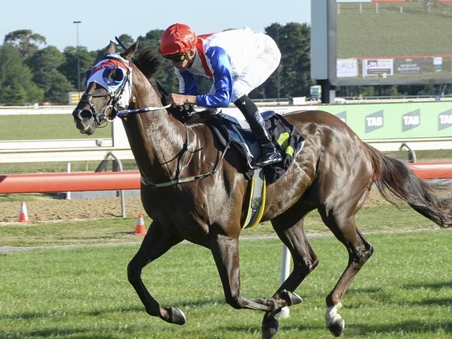 Camerlengo can start the day on a winning note. Picture: Bradley Photos