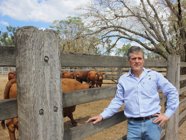 Agforce CEO Michael Guerin said Australia’s short-term workforce was not in the position to support farmers seasonally and relied on international visitors to fill the gap.