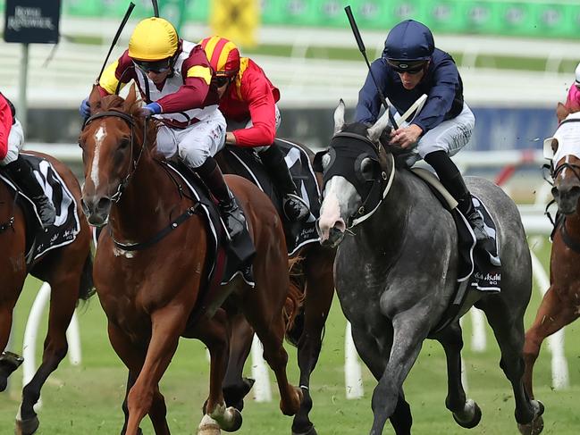 SYDNEY, AUSTRALIA - FEBRUARY 08: Chad Schofield riding Public Attention win Race 8 Asahi Super Dry Eskimo Prince Stakes during "Inglis Millennium Day" - Sydney Racing at Royal Randwick Racecourse on February 08, 2025 in Sydney, Australia. (Photo by Jeremy Ng/Getty Images)