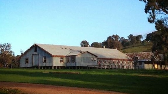 Woomargama Station, NSW.