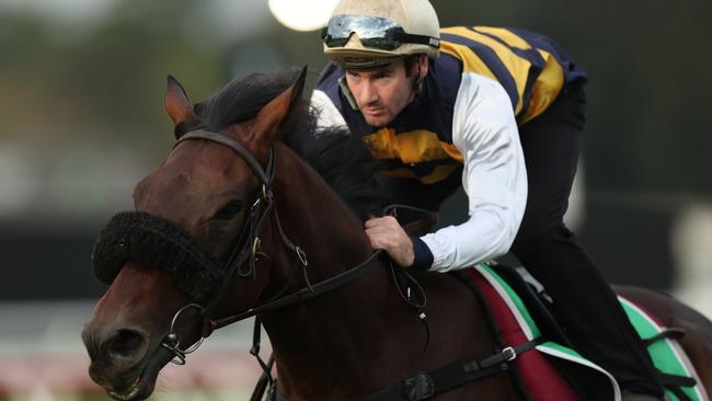 Tyler Schiller rides Athabascan during Trackwork at Randwick on April 9. Picture: Mark Metcalfe / Getty Images