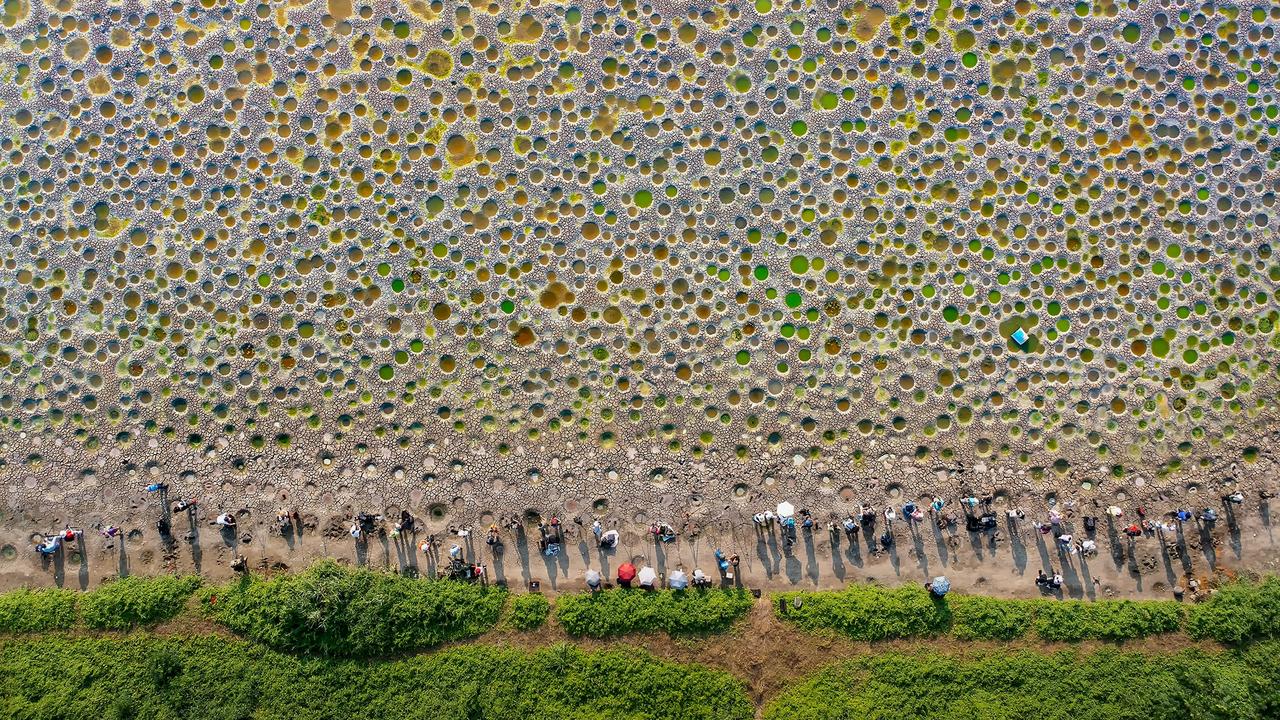 In Tai Sang Wai, Hong Kong, a dried pond’s canvas showcases the remarkable legacy of fish and their spawning holes. Picture: Jeanny Tang/TNC Photo Contest 2023