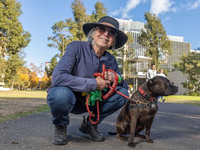RSPCA SA's Million Paws Walk in Adelaide on May 25, 2025. Picture: Ben Clark