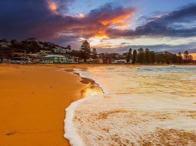 #snapcoast shot of Avoca Beach by davegoslingphotos from Instagram.