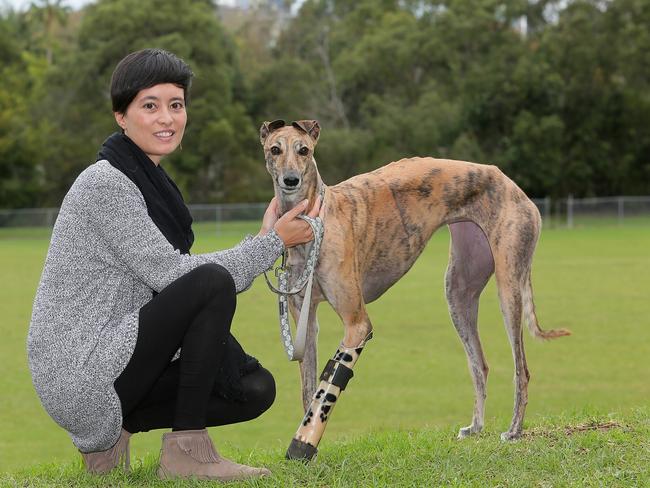 Nora Anderson-Dieppe with Millie, the greyhound. Picture: Adam Ward