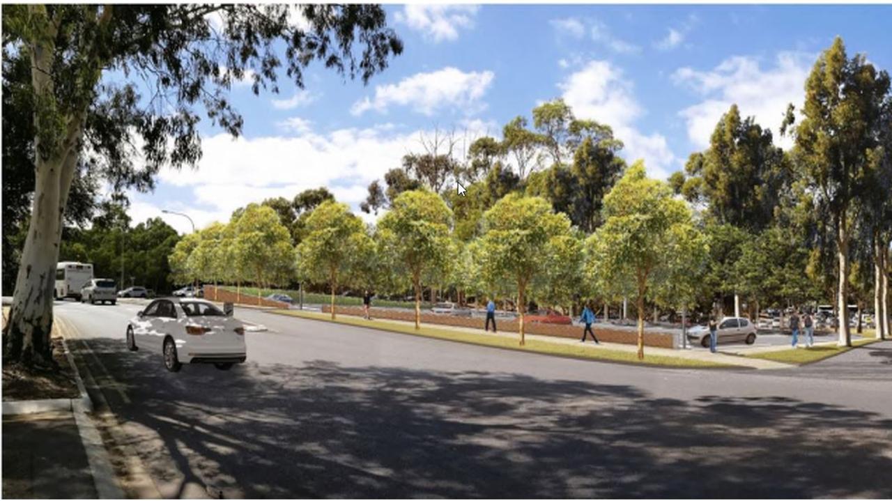 Paradise interchange: More trees to go for O-Bahn carpark upgrade | The ...