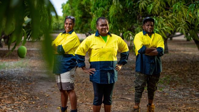 Ni-Vanuatuans Annie Kintor, Charline Lolting and Bill Frazer Alling were part of the program in 2020 that brought seasonal workers in for NT’s mango season. Picture: Che Chorley