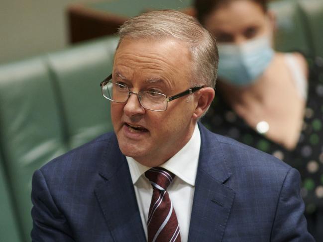 How Albanese could win by default