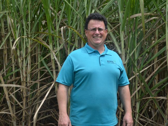 Herbert Cane Productivity Services manager Lawrence Di Bella says a perfect storm has exacerbated the rat problem. Picture: Lillian Altman