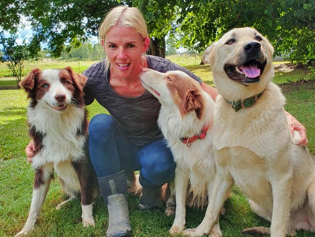 Donna Taylor with Kobi, Bruno and Hero, three of the five beloved dogs they lost to suspected 1080 poisoning within hours of each other on September 4. Picture: Candice Gurtner