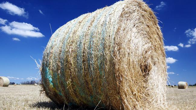 Hold-ups continue: Extended curing times caused by continued rain is adding to quality concerns in hay.