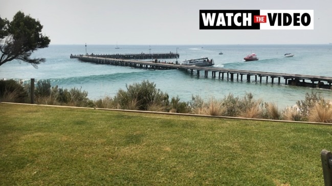 Surf's up at Portsea beach