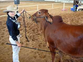 LIFE DOESN'T STOP: Tieri grazier Siobhan Randell, in the ring with Crinum Crest, is determined to bring home the Young Judges and Paraders national title despite suffering a brain tumour. Picture: Amber Hooker