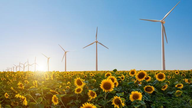 ‘The more orderly the transition to net zero, the better able investors will be to protect and preserve the value of their investments,’ a new report states. Picture: Getty Images