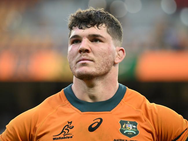 BRISBANE, AUSTRALIA - AUGUST 10: Carlo Tizzano of the Wallabies looks dejected after during The Rugby Championship match between Australia Wallabies and South Africa Springboks at Suncorp Stadium on August 10, 2024 in Brisbane, Australia. (Photo by Matt Roberts/Getty Images)