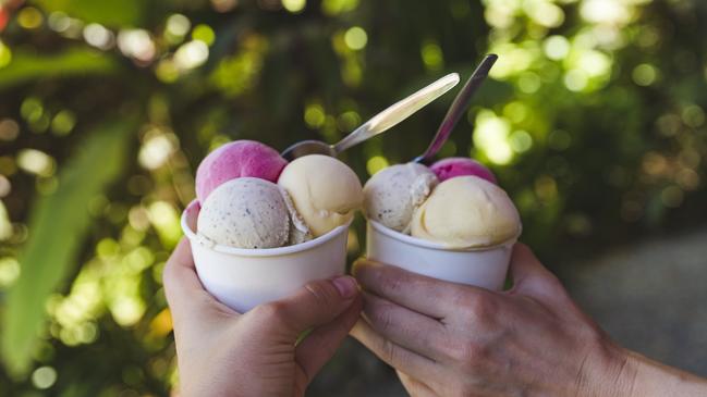 Daintree Ice Cream Company, Queensland. Picture: TEQ