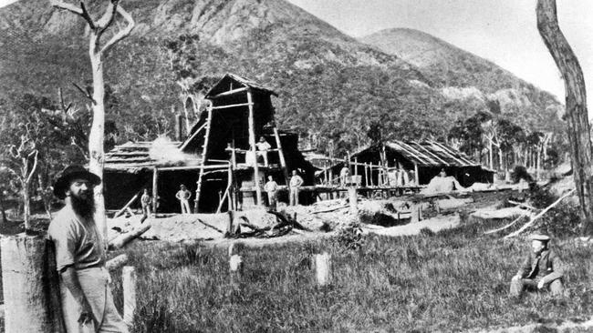 Fred Morgan at the Galloway claim next to Mt Wheeler, Queensland 1882.