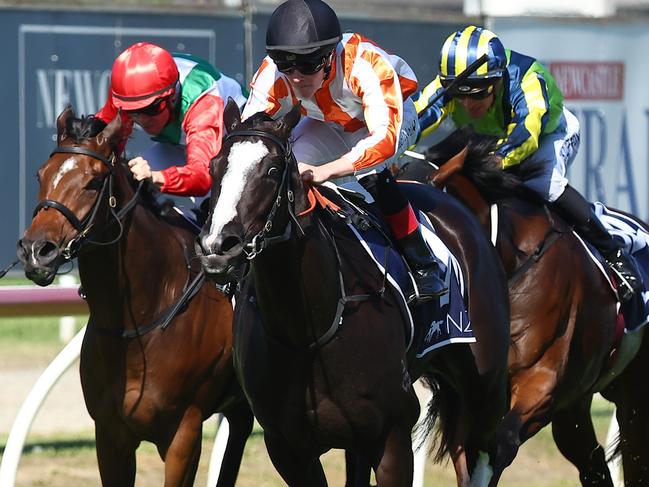 NEWCASTLE, AUSTRALIA - NOVEMBER 18: Zac Lloyd riding Genzano  wins Race 7 New Zealand Bloodstock 3YO Spring Stakes during Sydney Racing ( The Hunter ) at Newcastle Racecourse on November 18, 2023 in Newcastle, Australia. (Photo by Jeremy Ng/Getty Images)