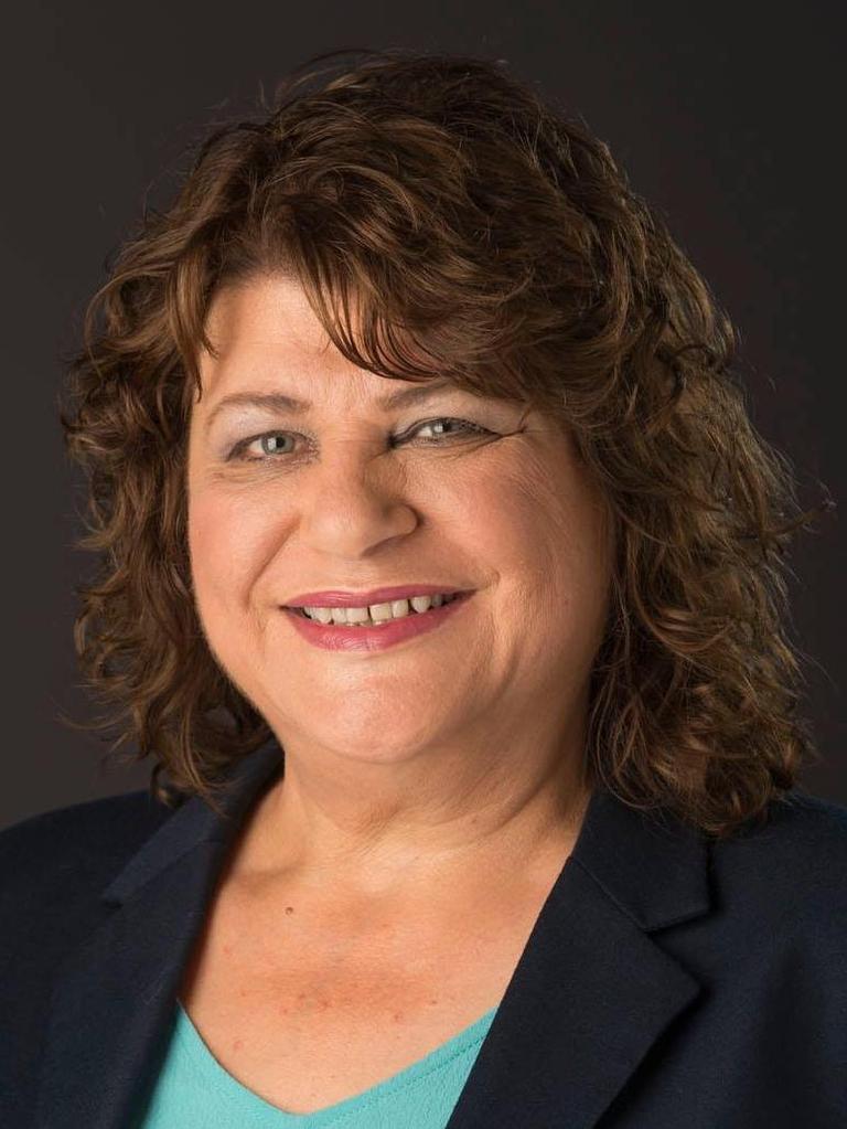 Current Legislative Review Committee chair Irene Pnevmatikos. Picture: Supplied