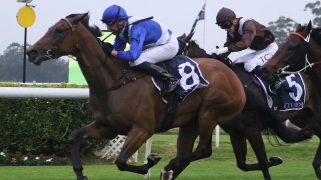 Lightly-raced mare Too Much Lippy will give a bold sight first-up. Picture: Grant Guy