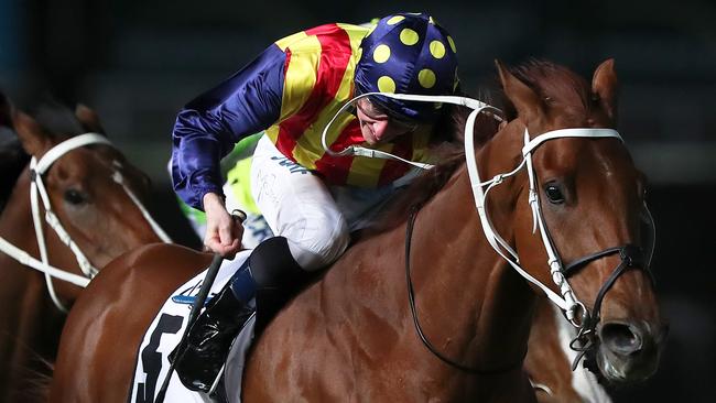 Nature Strip has secured a slot in The TAB Everest. Picture: Getty Images