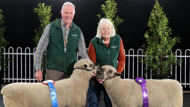 Colin and Margaret Chapman from Wedderburn with their Dorset Down winners. Picture: Yuri Kouzmin